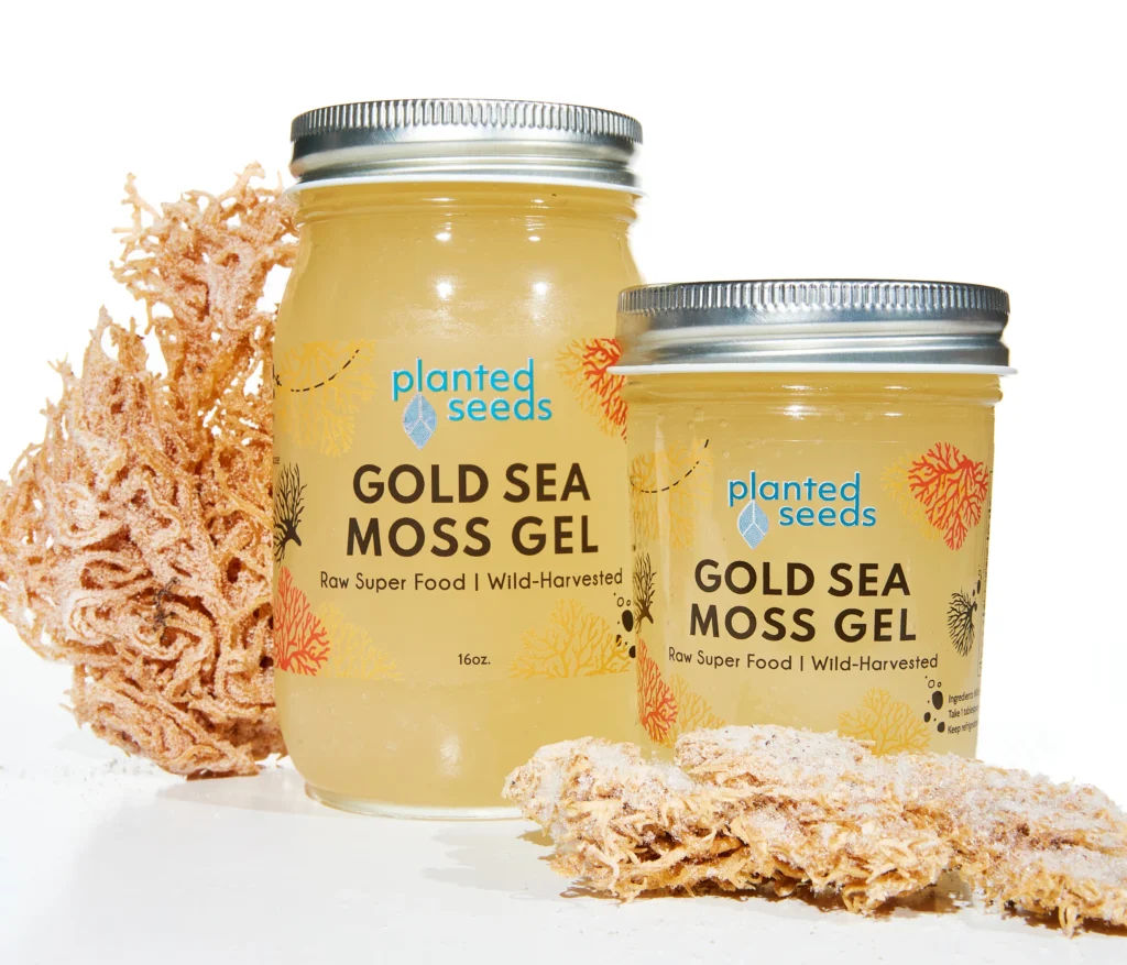 Gold sea moss gel
