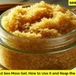 Gold Sea Moss Gel How to Use It and Get the Benefits