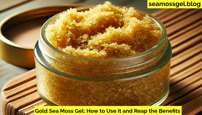 Gold Sea Moss Gel How to Use It and Get the Benefits